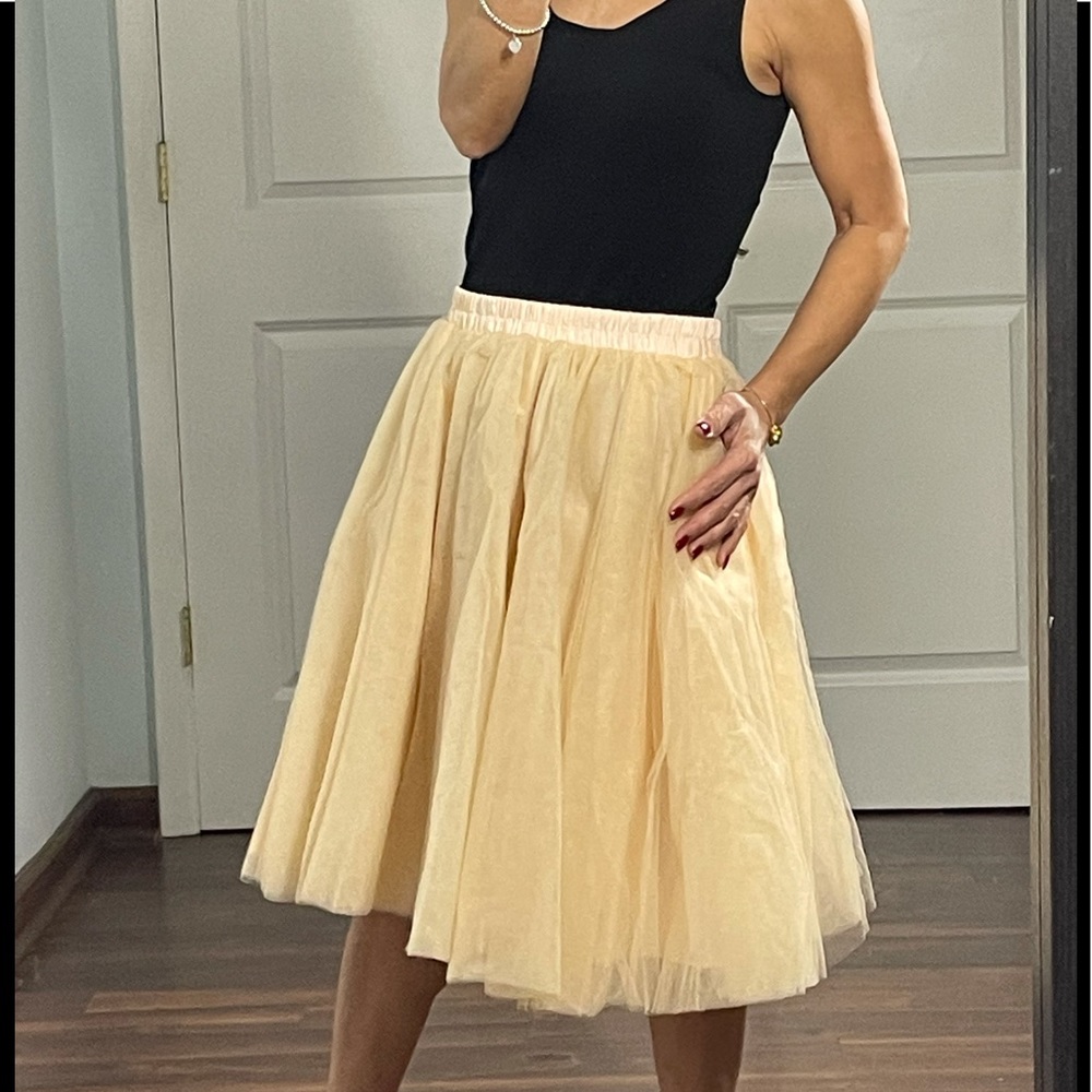 Vintage Knee-Length Lined Tulle Ballerina Skirt Champagne Peach Color - Picture 3 of 12